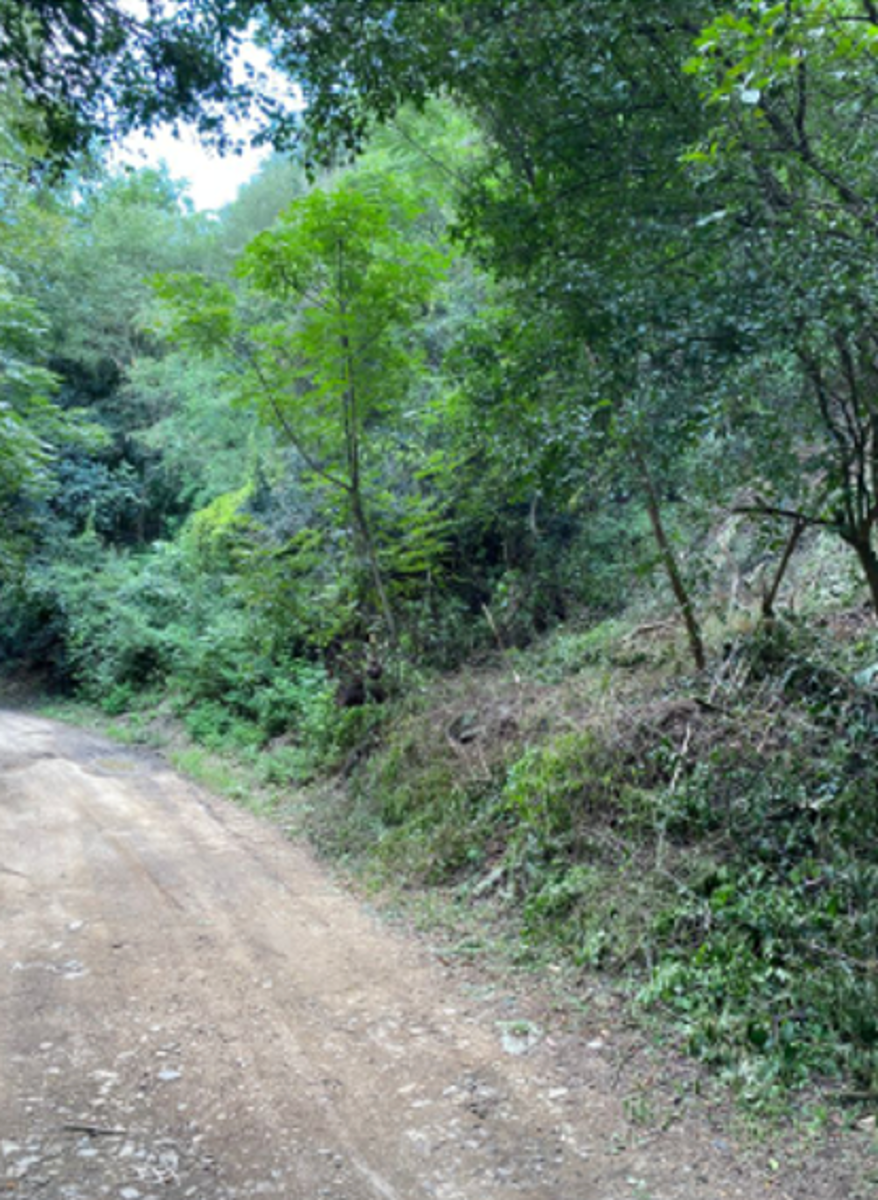 Terreno en venta en Santa Rosalía, Santiago — foto 1 de 9