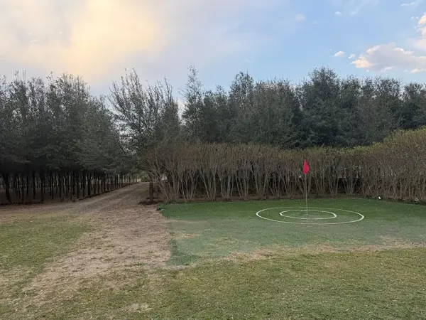 Terreno en venta en San Antonio, Juárez — foto 2 de 13