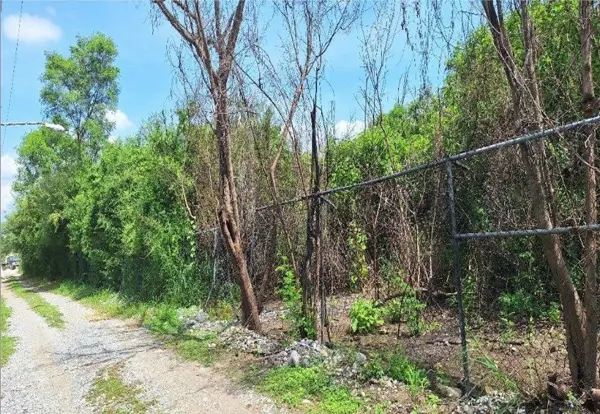Terreno en venta en Zirandaro, Juárez — foto 2 de 8