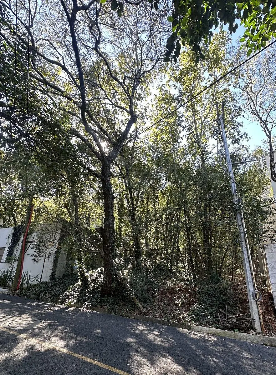 Terreno en venta en Bosques de San Ángel Sector Palmillas, San Pedro Garza García — foto 1 de 5