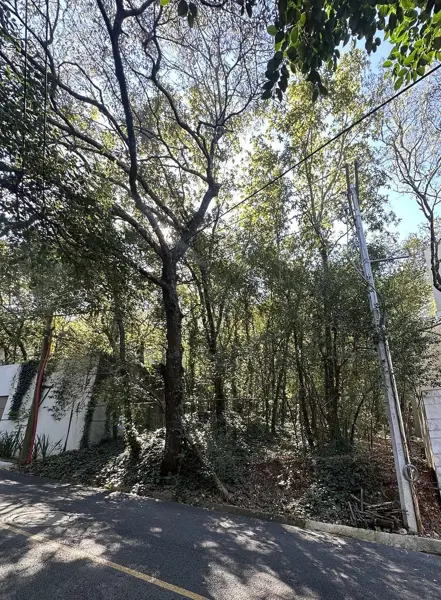 Terreno en Venta Bosques de San Angel, Palmillas