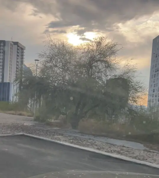 Terreno en venta en Vía Cordillera, Santa Catarina — foto 2 de 3