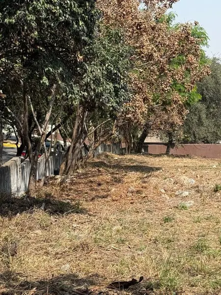 Terreno en venta en Colonial La Sierra, San Pedro Garza García — foto 2 de 3
