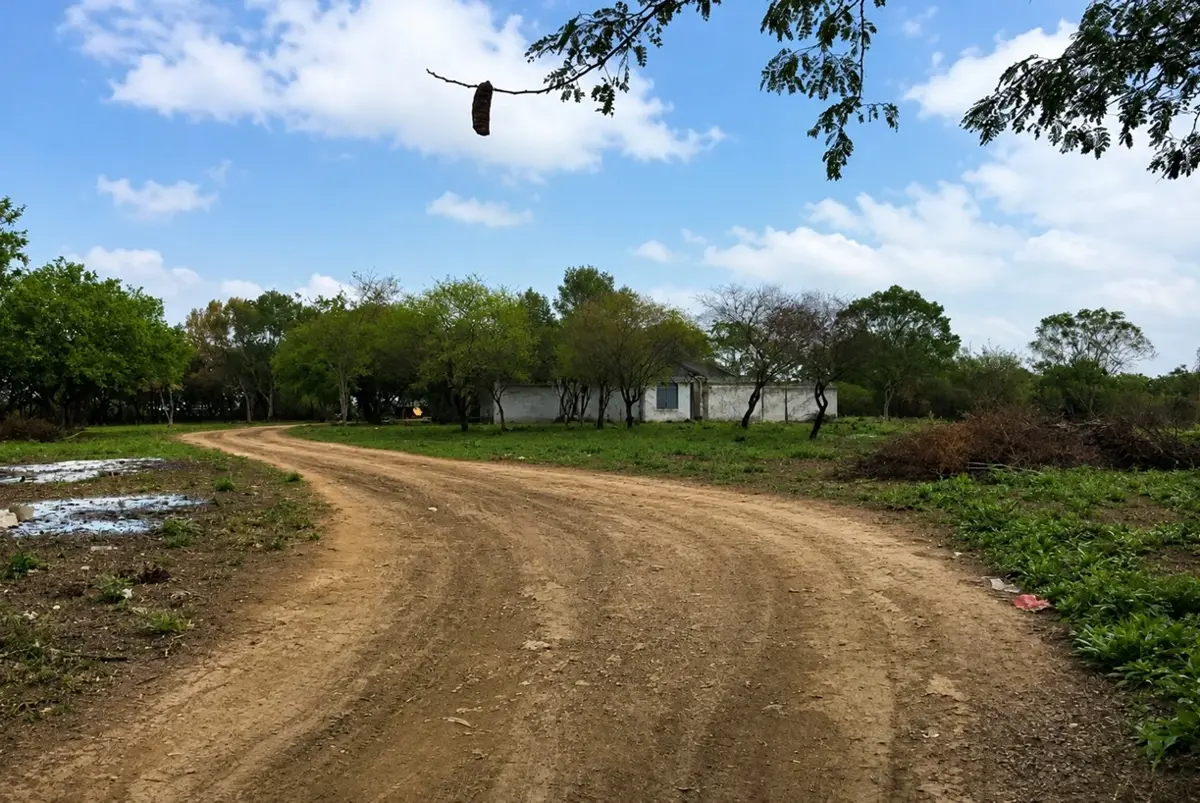 Terreno Campestre 9,999m² en venta en La Boca, Santiago. Plano regular con frente de 100 m - HEP Terreno Campestre 9,999m² en venta en La Boca, Santiago. Plano regular con frente de 100 m - HEP