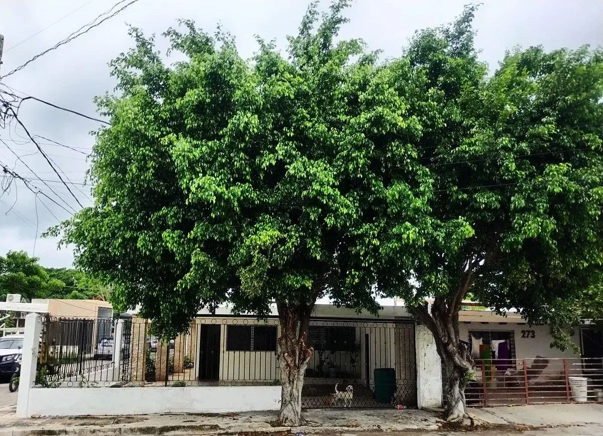 Casa en venta en Revolución (Cordemex), Mérida — foto 1 de 11