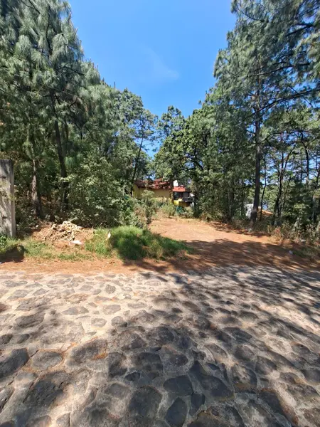 Terreno en venta en Mazamitla, Mazamitla — foto 3 de 20