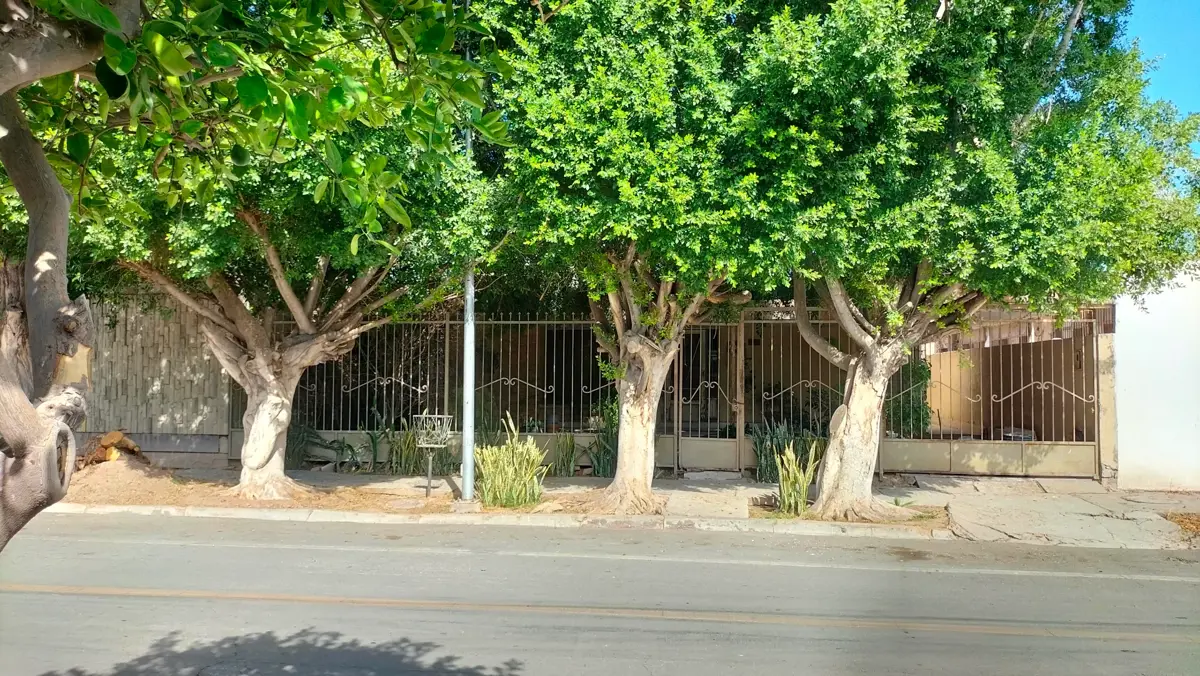 Casa en venta en Torreon Jardin, Torreón — foto 1 de 13