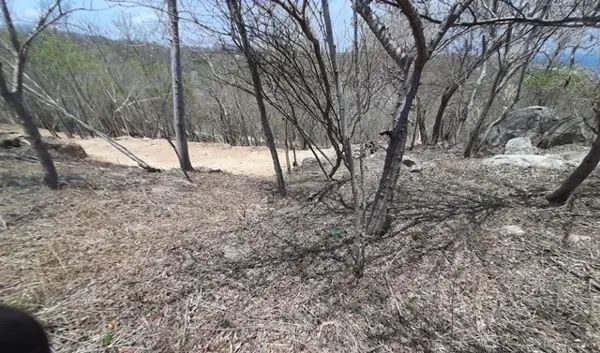 Terreno en venta en San Agustinillo, Santa María Tonameca — foto 3 de 9