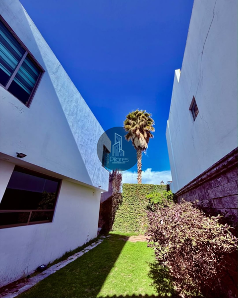 Casa en renta en Zona Plateada, Pachuca de Soto — foto 3 de 32