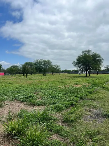 Terreno en venta en Los Lirios, Montemorelos — foto 3 de 6