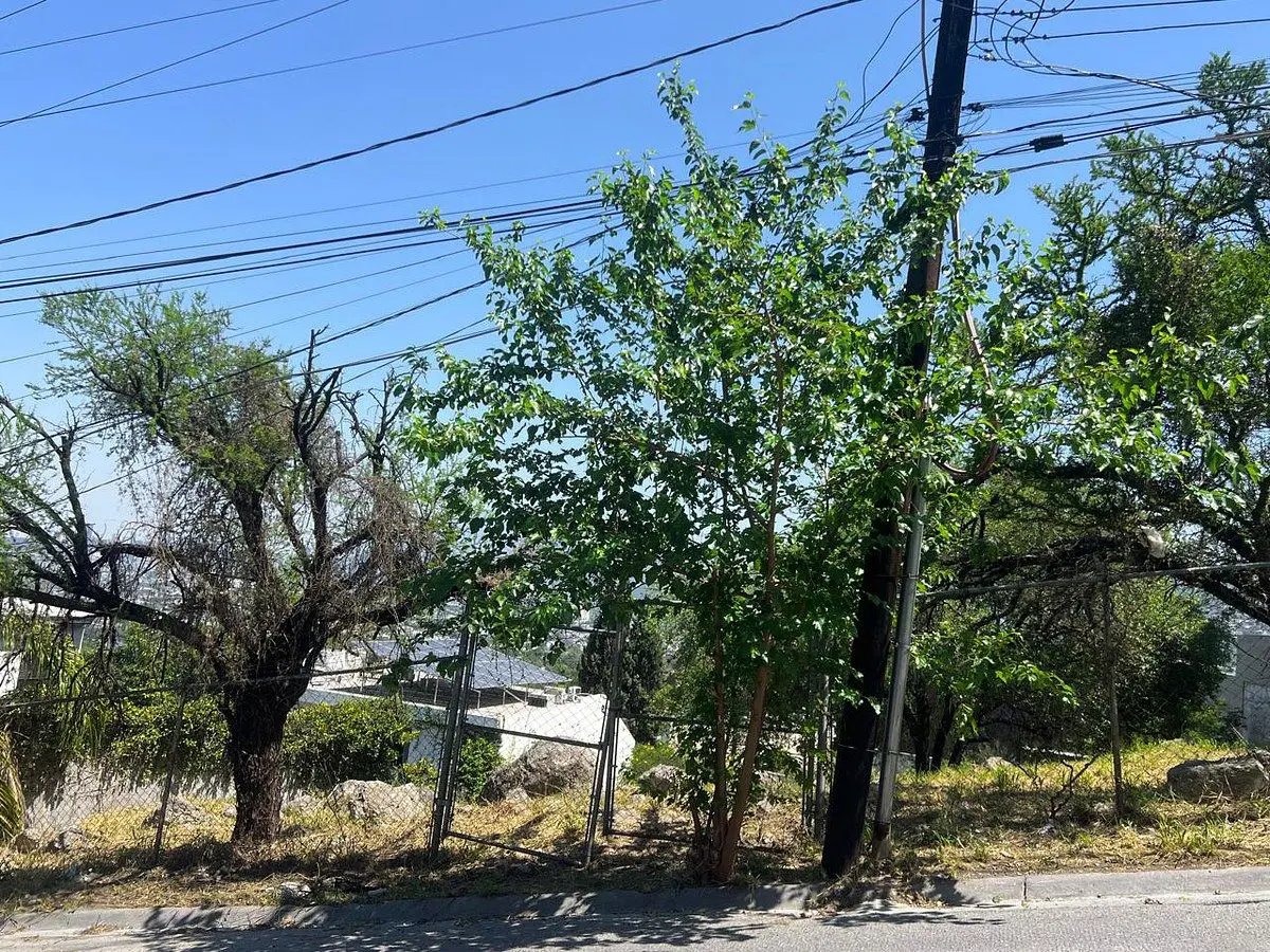 Terreno en venta en La Cima 2do Sector, San Pedro Garza García — foto 1 de 6