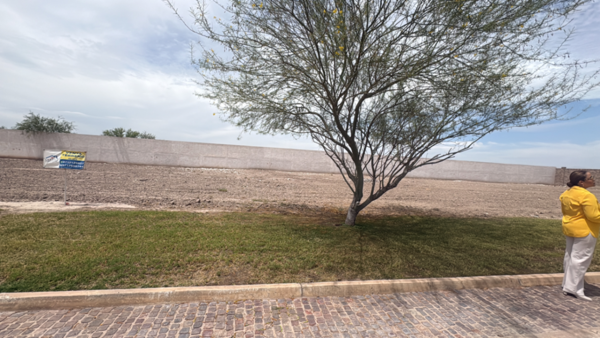Terreno en venta en La Gran Vinícola, Gómez Palacio — foto 2 de 2