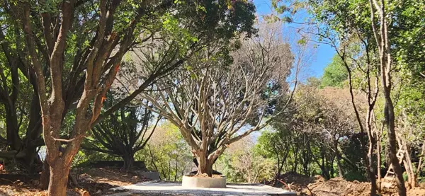 Terreno en venta en Ahuatepec, Cuernavaca — foto 2 de 13
