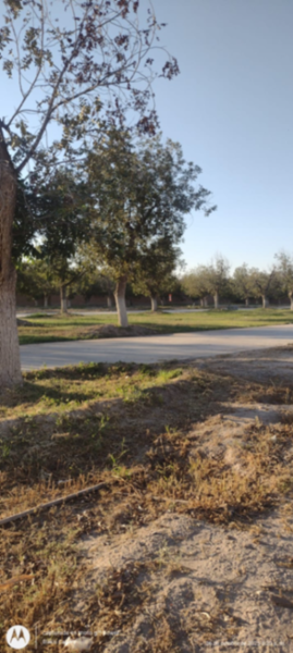 Terreno en venta en La Barranca, Torreón — foto 3 de 3