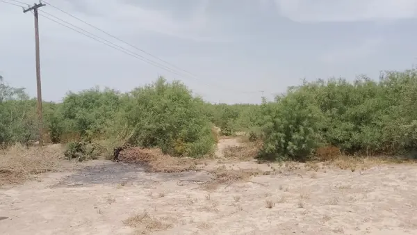 Terreno residencial en venta en Ejido Santo Tomás, Matamoros, Coahuila