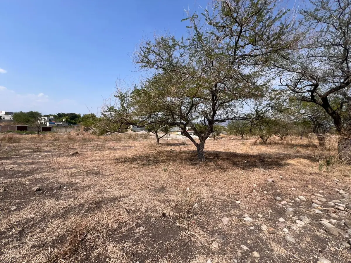Terreno en venta en Ampliación Nicolás Bravo, Jojutla — foto 1 de 3