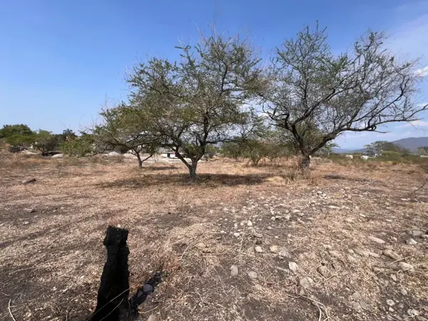 Terreno en venta en Ampliación Nicolás Bravo, Jojutla — foto 3 de 3