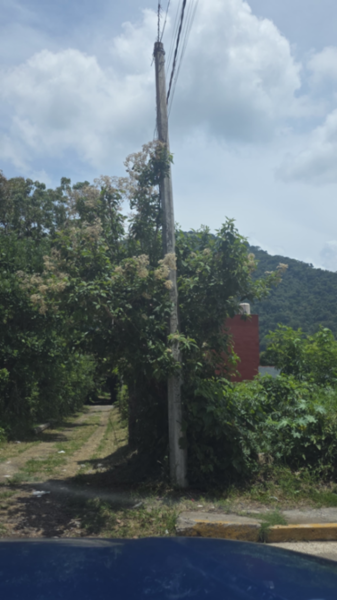 Terreno en renta en Ixtaczoquitlan Centro, Ixtaczoquitlán — foto 3 de 8