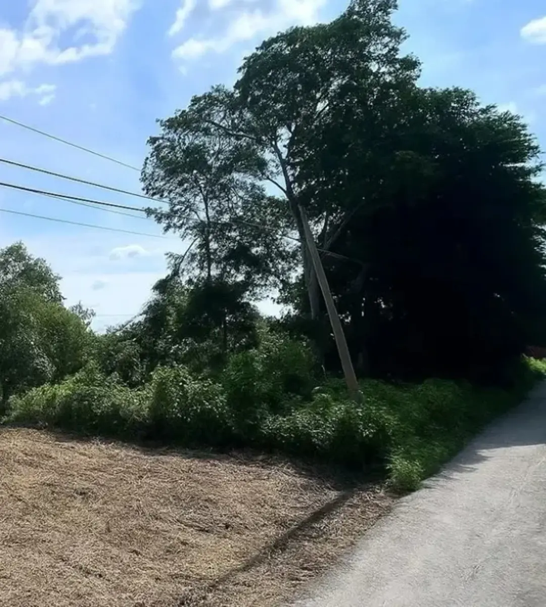 Terreno en venta en La Lima, Centro — foto 1 de 2