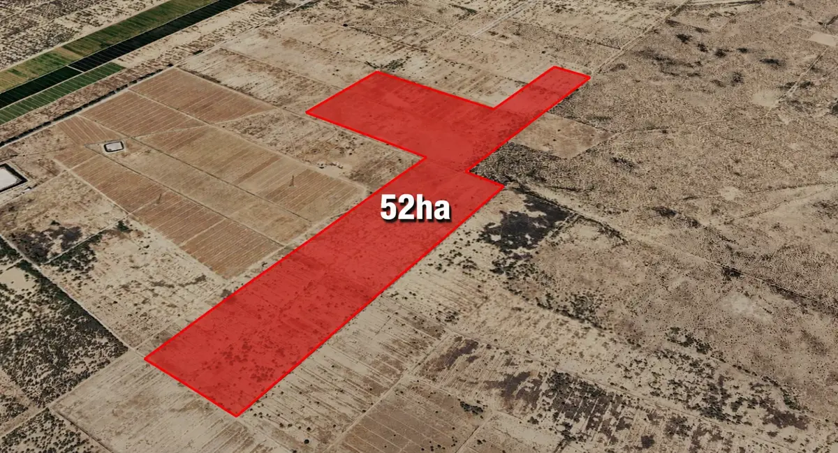 Terreno en venta en El Olivo, Matamoros — foto 1 de 6