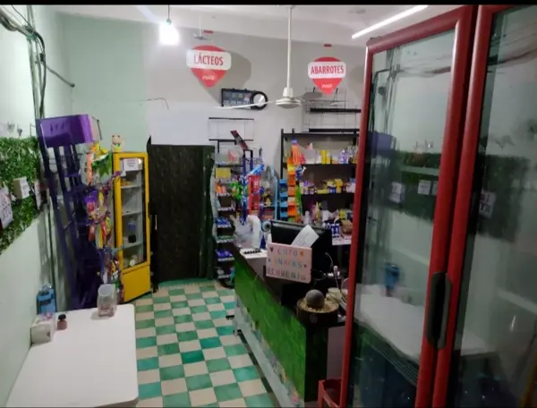 Casa en Venta en Veracruz: Oportunidad Comercial Céntrica