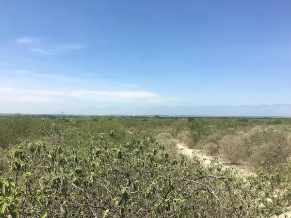 Terreno en venta en Sin colonia, Pesquería — foto 3 de 8