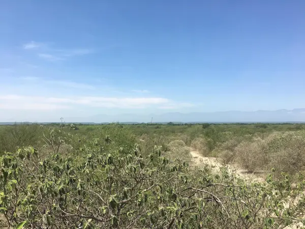 Terreno en venta en Sin colonia, Pesquería — foto 2 de 8