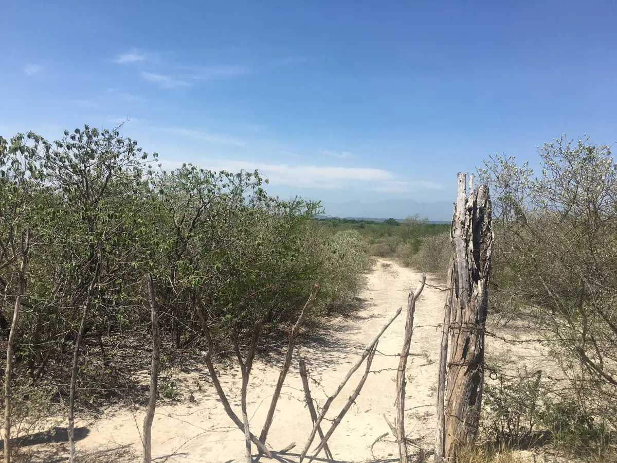 Terreno en venta en Sin colonia, Pesquería — foto 1 de 8