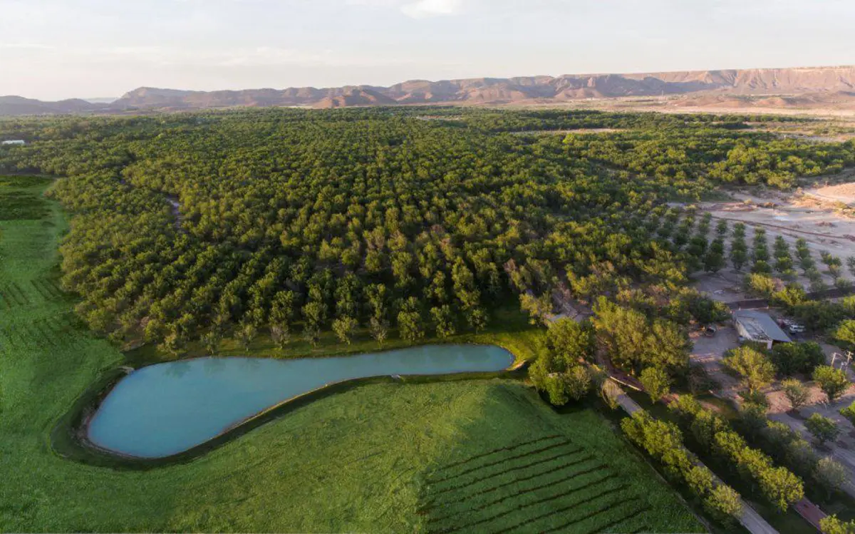 Terreno en venta en Parras de la Fuente Centro, Parras — foto 1 de 8