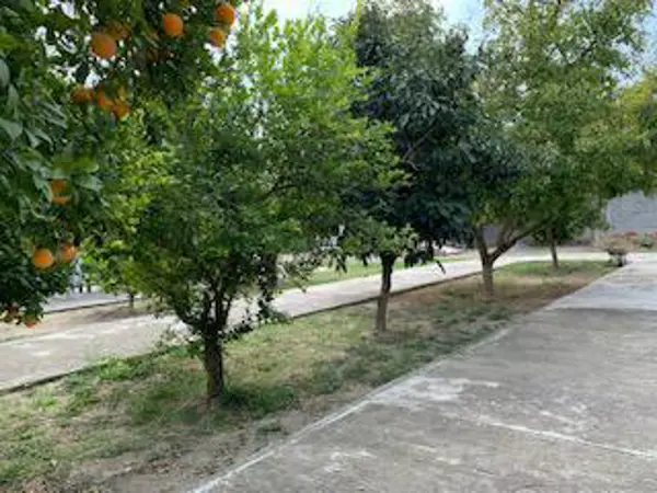 Casa en venta en Sin colonia, Cadereyta Jiménez — foto 2 de 43