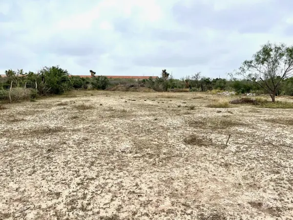 Terreno en venta en Sin colonia, Salinas Victoria — foto 3 de 3