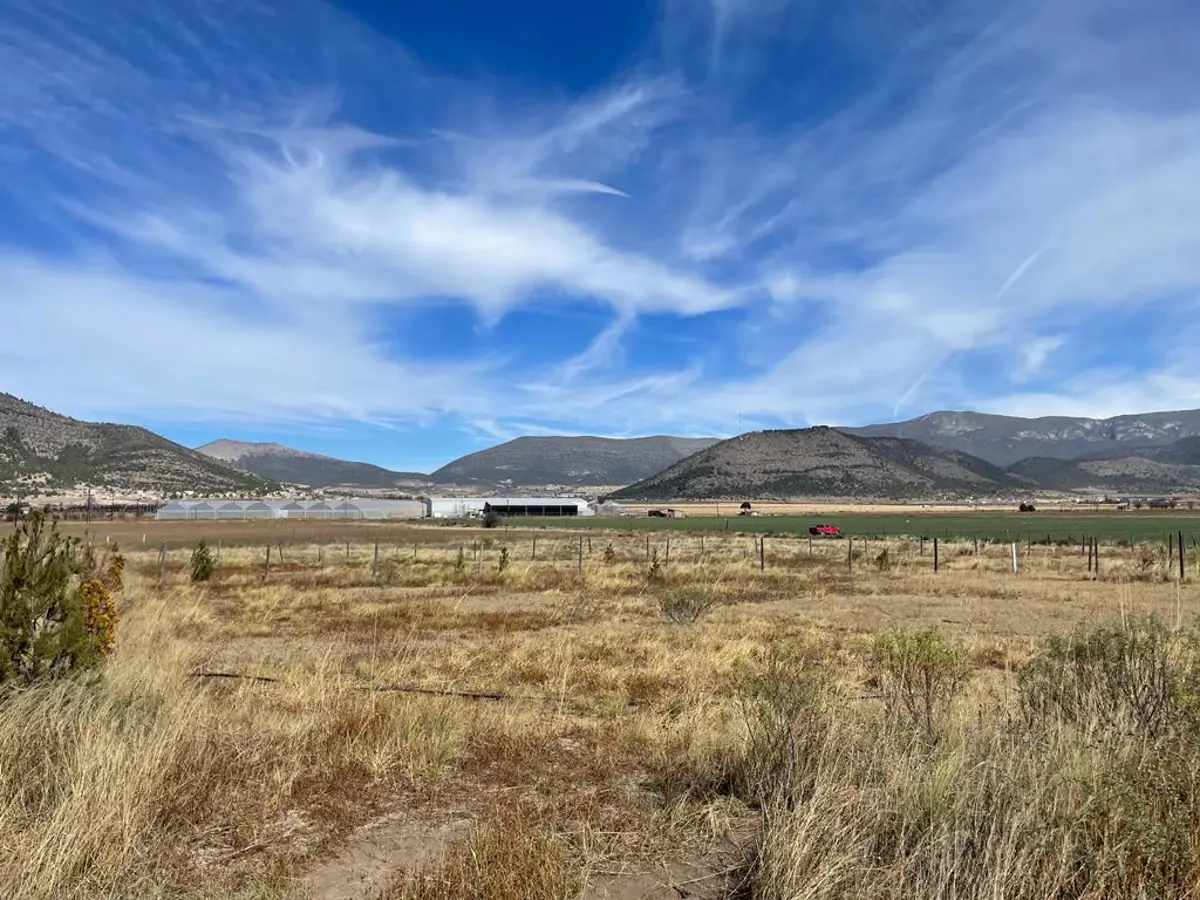 Terreno en venta en Ejido Los Lirios, Arteaga — foto 1 de 4