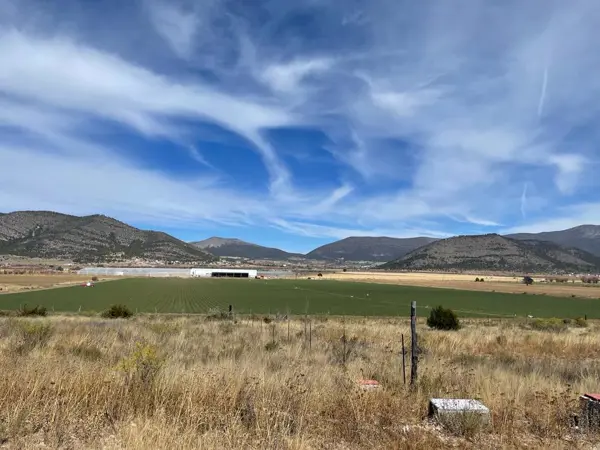 Terreno en venta en Ejido Los Lirios, Arteaga — foto 2 de 4