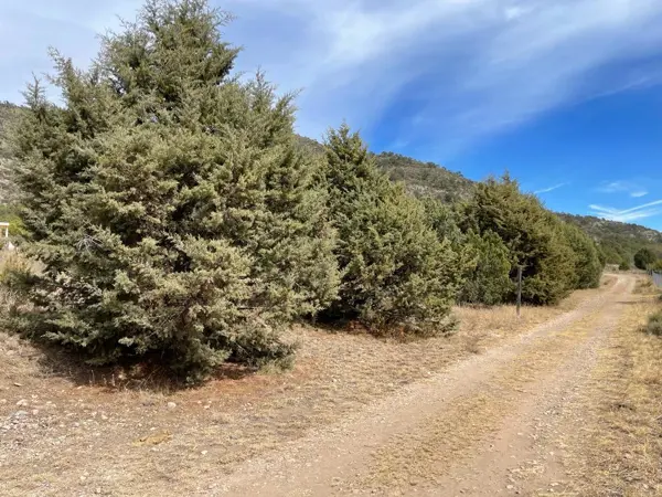 Terreno en venta en Ejido Los Lirios, Arteaga — foto 3 de 4