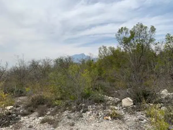 Terreno en venta en Sin colonia, El Carmen — foto 3 de 7