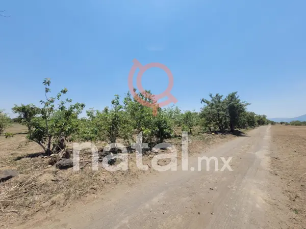 Terreno en venta en San Lorenzo los Jagüeyes, Atlixco — foto 2 de 16