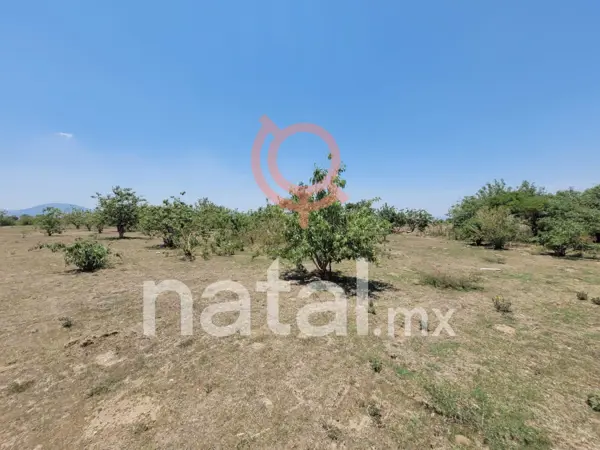 Terreno en venta en San Lorenzo los Jagüeyes, Atlixco — foto 3 de 16