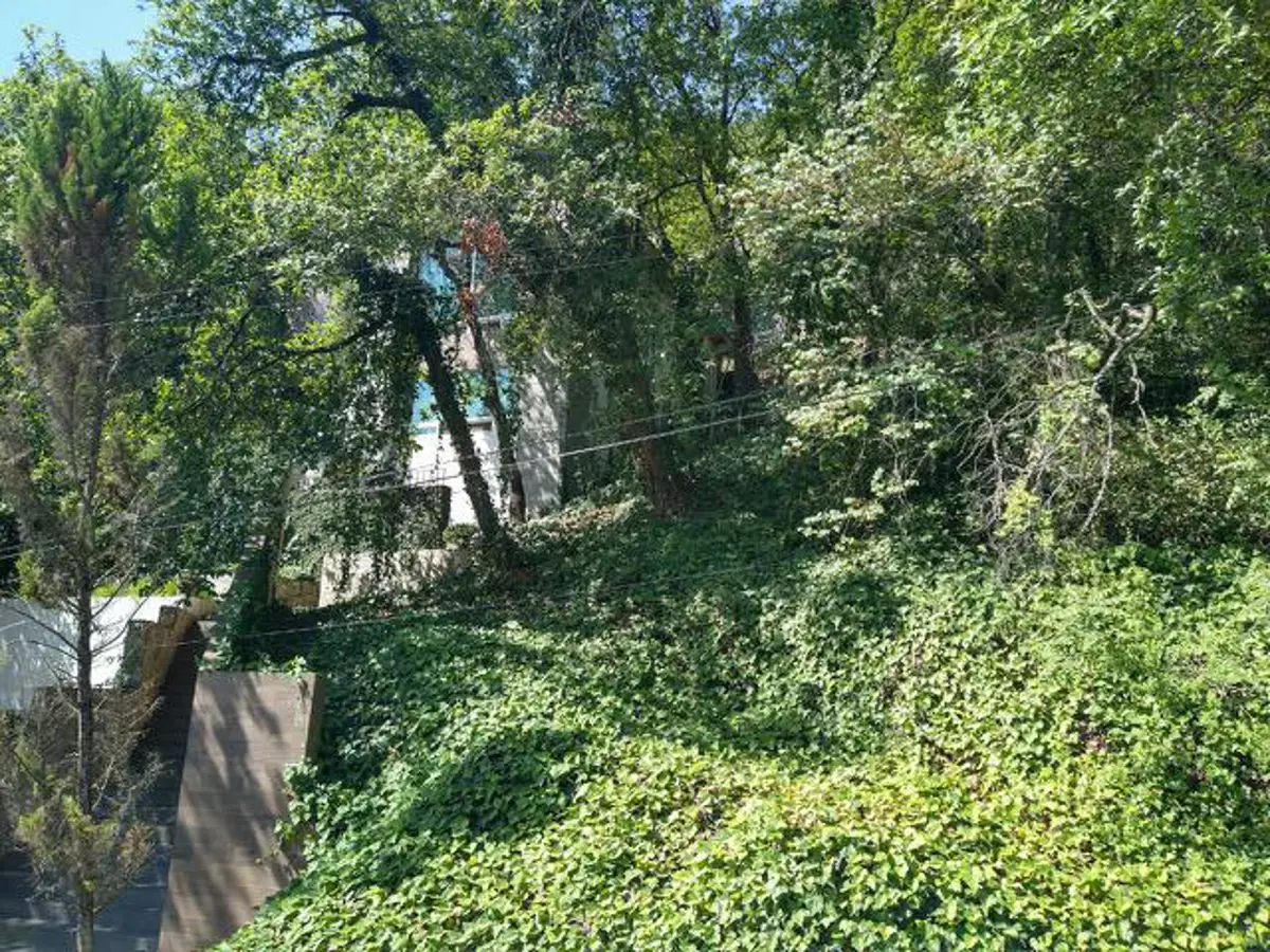 Terreno en venta en Bosques de San Ángel Sector Palmillas, San Pedro Garza García — foto 1 de 2