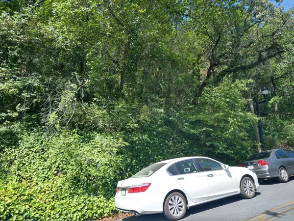Terreno en venta en Bosques de San Ángel Sector Palmillas, San Pedro Garza García — foto 2 de 2