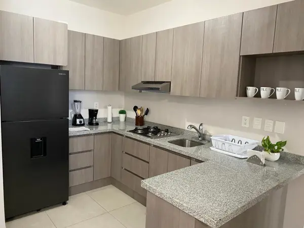 DEPARTAMENTO ZONA PARQUE FUNDIDORA ARENA VIVE MONTERREY RENTA