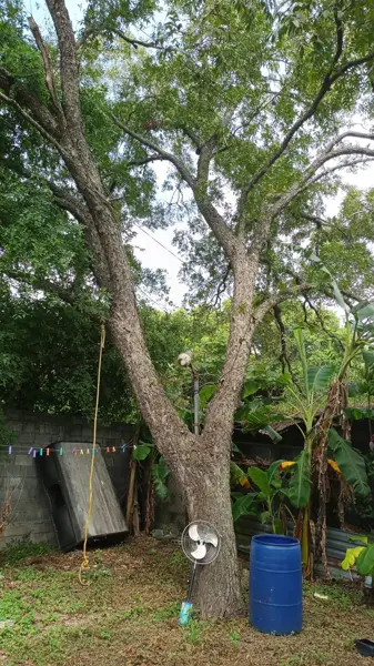 Terreno en venta en Santiago Centro, Santiago — foto 3 de 4