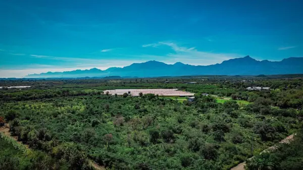Terreno en venta en El Bajío, Montemorelos — foto 2 de 10