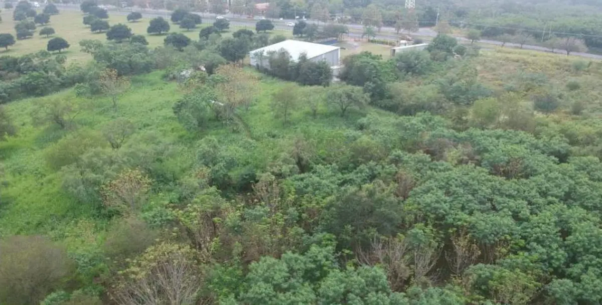 Terreno en venta en Canoas, Montemorelos — foto 1 de 3
