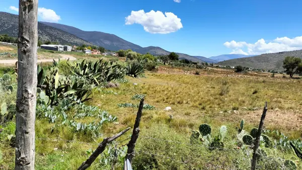 TERRENO EN VENTA HUACHICHIL ARTEAGA COAHUILA MEXICO