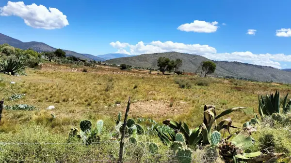 Terreno en venta en Congregacion Huachichil, Arteaga — foto 3 de 8