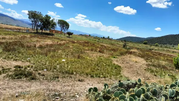 Terreno en venta en Congregacion Huachichil, Arteaga — foto 2 de 8