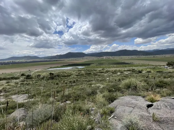 Terreno en venta en Huachichil (El Huache), Arteaga — foto 3 de 15