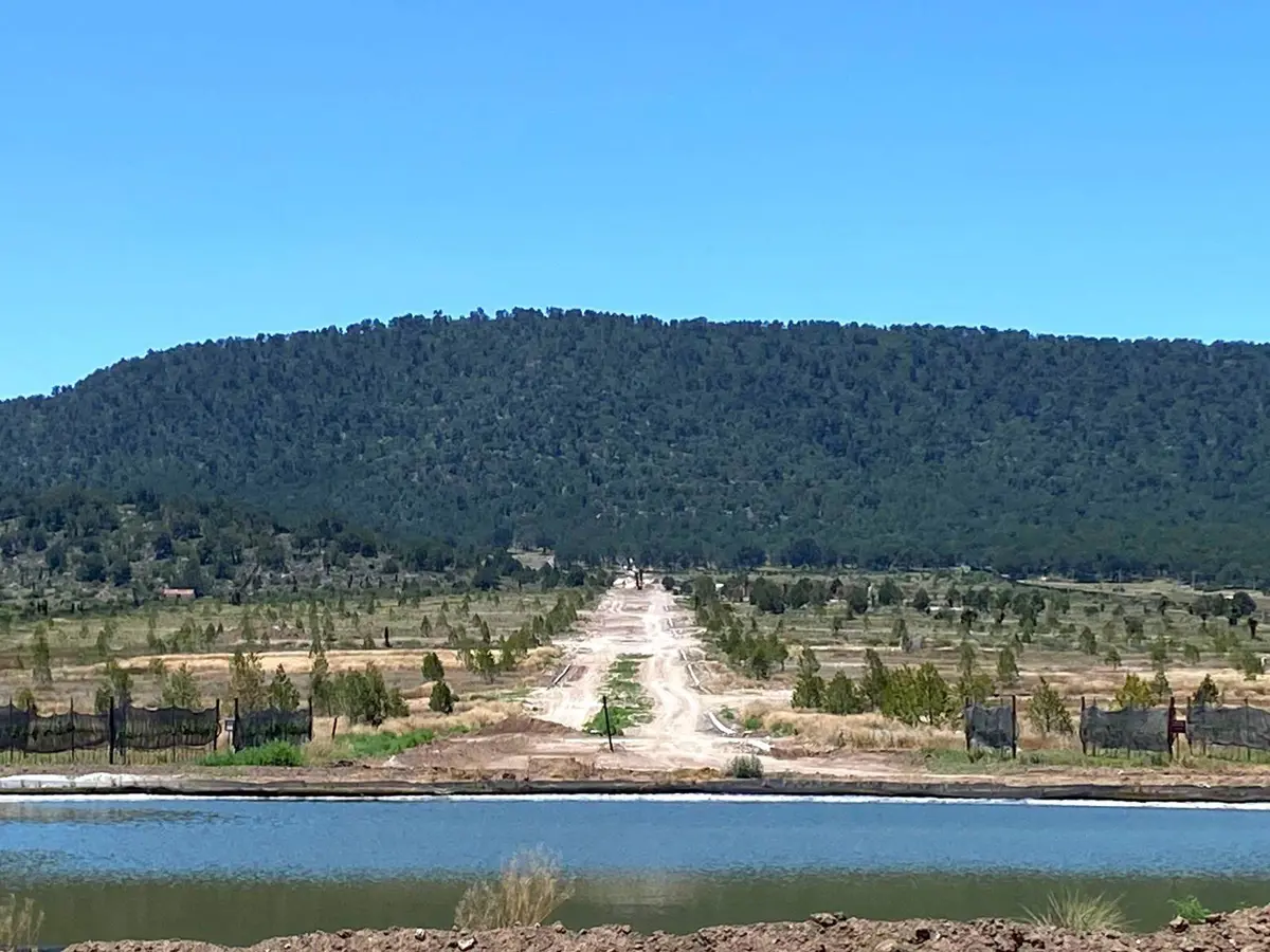 Terreno en venta en Huachichil (El Huache), Arteaga — foto 1 de 15