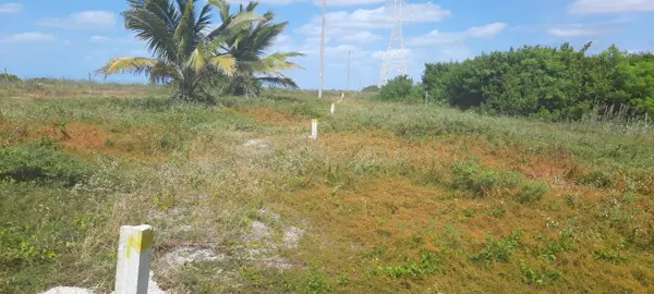 Terreno en venta en Isla Aguada Centro, Carmen — foto 3 de 5