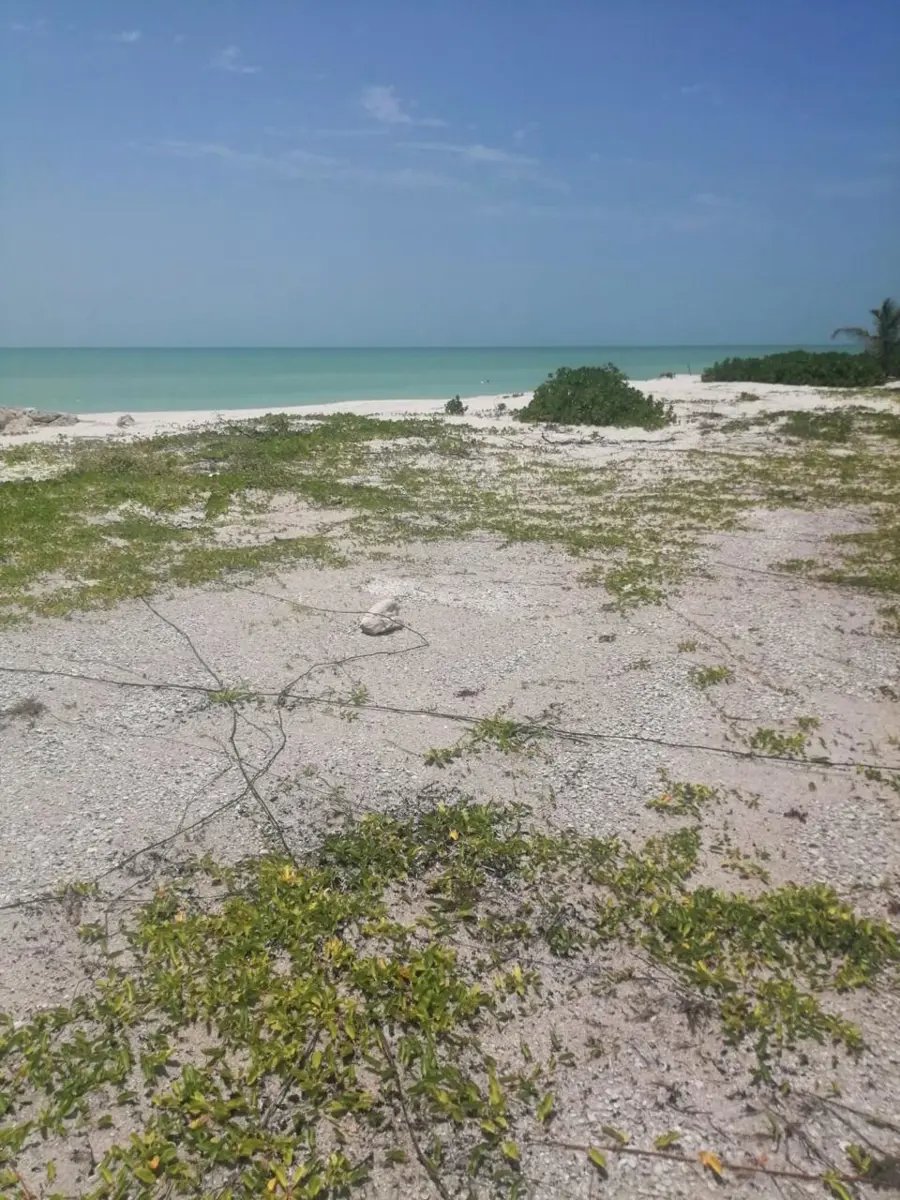 Terreno en venta en Isla Aguada Centro, Carmen — foto 1 de 5